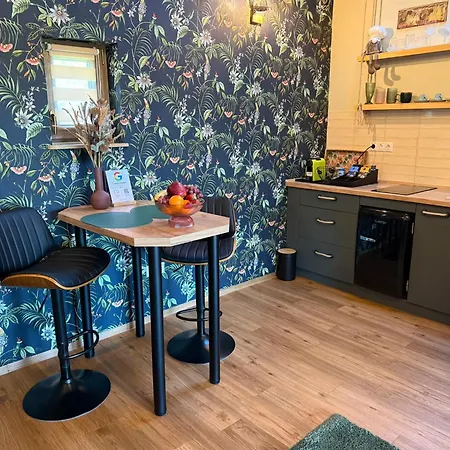 A Ficak Apartment Miskolc